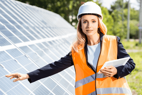 MentorEase_mentoring_software_electric_power