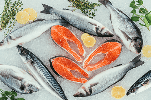 MentorEase_mentoring_software_fisheries_seafood