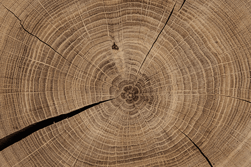 MentorEase_mentoring_software_lumber_wood_furniture